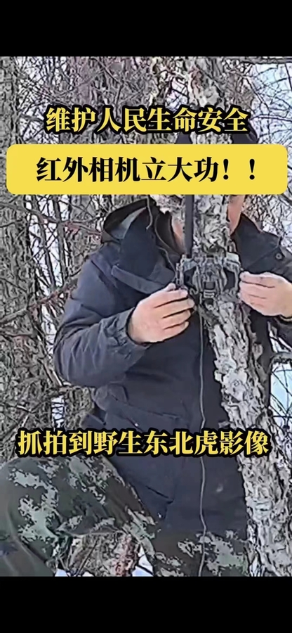 e1ddae91-4ae7-4db6-a19b-ac2587048130.jpg