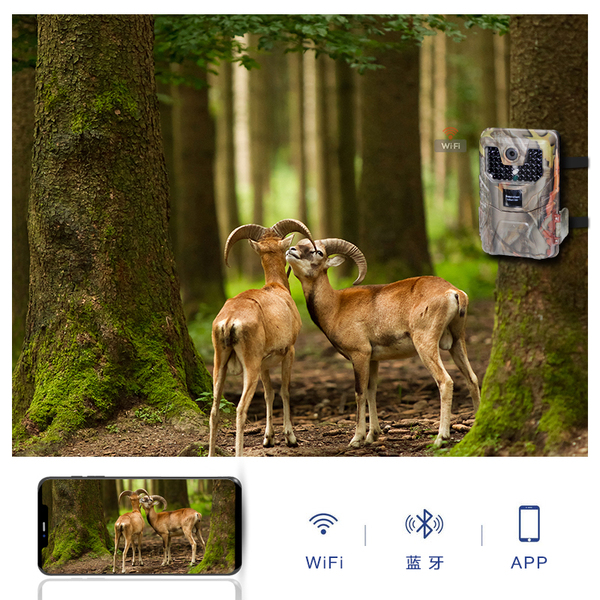 wifi.jpg