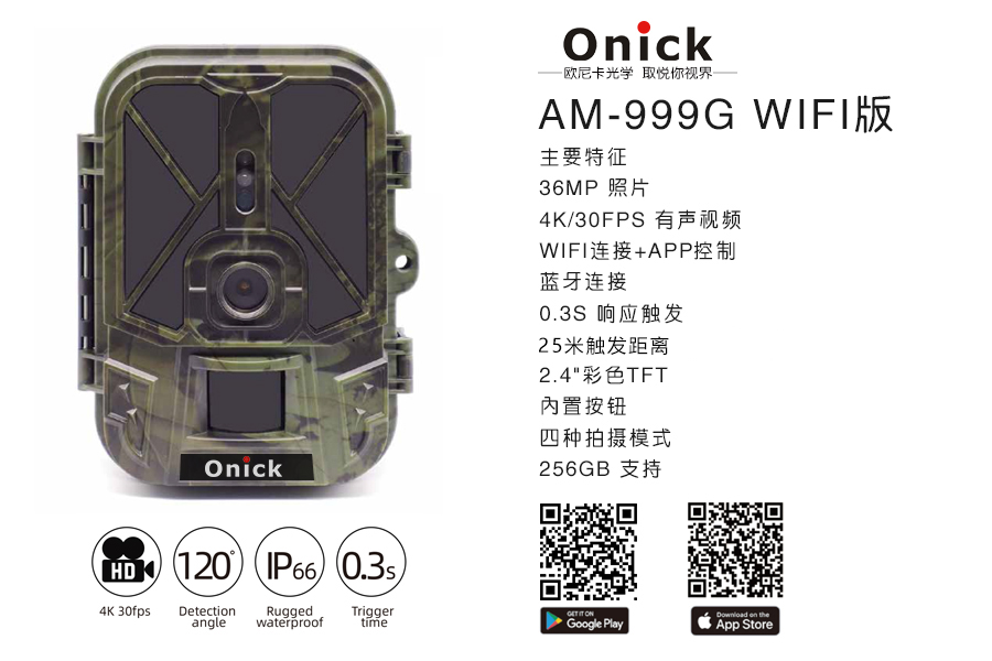 999Gwifi.jpg
