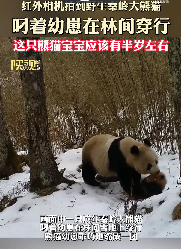 QQ截图20240123141744.png